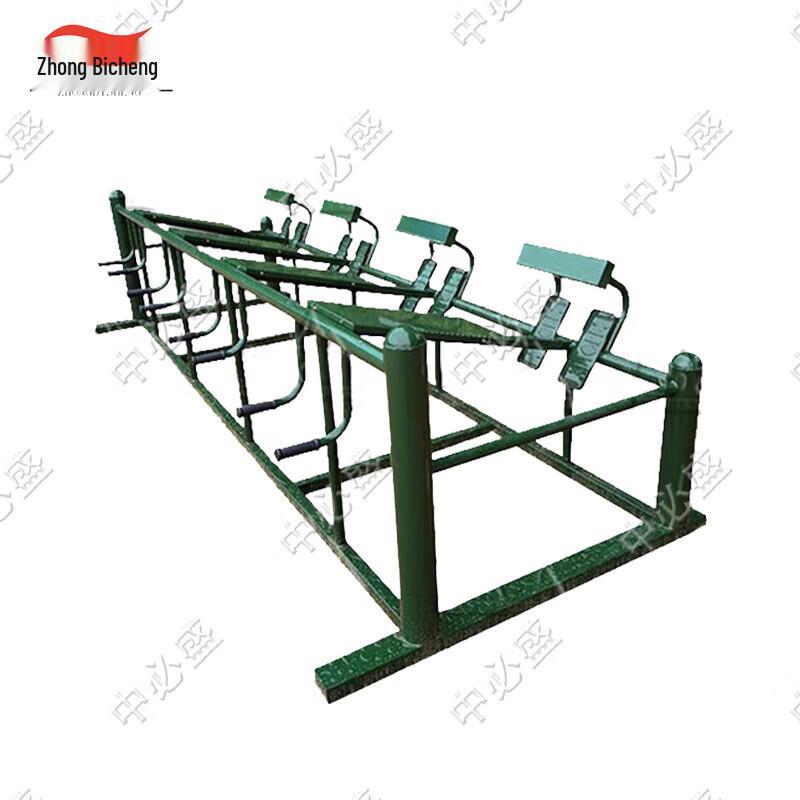 Zhong Bisheng 4-Station Back Combination Trainer