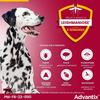 Advantix chien solution antiparasitaire grande race 25 à 40kg 6 pipettes