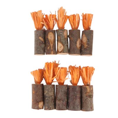 10Pcs Rabbit Chew Sticks Edible Safe Prevent Urinary Stones Decorative Guinea Pig Chew Toys for