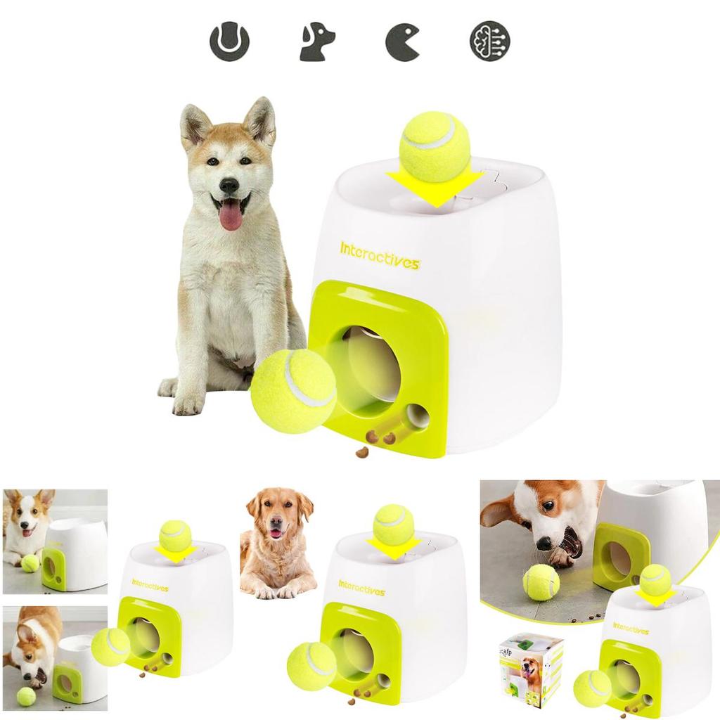 Educational Tennis Ball Hyper Game Training Machine For Active Dogs