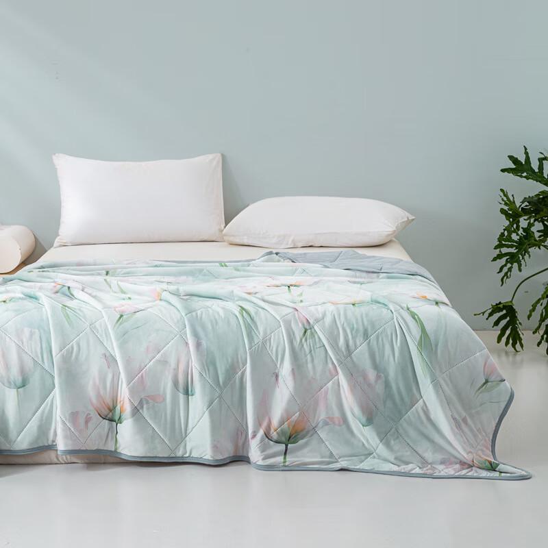 

Ailan Huijia Class A Printed Cool-Touch Ice Silk Summer Quilt 150x200cm