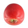 Home Shop Party Decor Lifelike Artificial Fruit for Kitchen Display (Red)