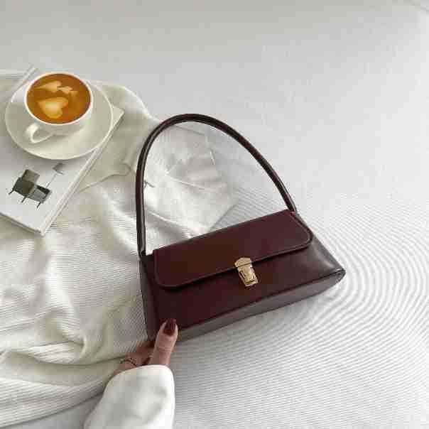 Trend Niche Portable Shoulder Bag Popular Small Square Bag New Bag Women's 2025 Spring Fashion Retro Armpit Bag