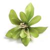 10Pcs Silk Artificial Lily Flower DIY Bouquet Handmade Fake Flowers Materials Silk Artificial Flowers Head