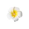 Handcrafted Floral Hair Clip for Beach Vacations - Updo Side Clip with Duckbill Design