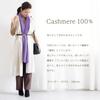 Cashmere Large Stole in Gift Wine 70x200cm [Pashmina Collection] 100% Box, Red,