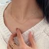 Necklace Korean Minimalist Niche Premium Pig Nose Necklace Female Non-fading Light Luxury Collarbone Chain