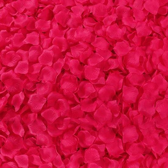 Rose Petal Decor for Wedding Ceremony, Proposal, and Bed Arrangement