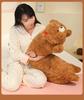 Cute Bear Long Pillow - Plush Panda Sleeping Companion for Girls