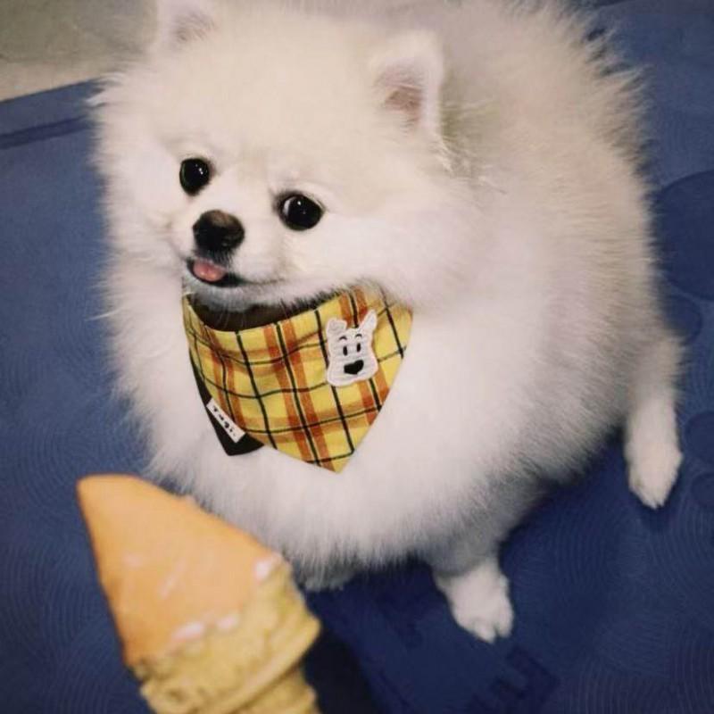 Cotton Pet Bandana Cats Dogs Triangle Scarf With Plaid All Season Use