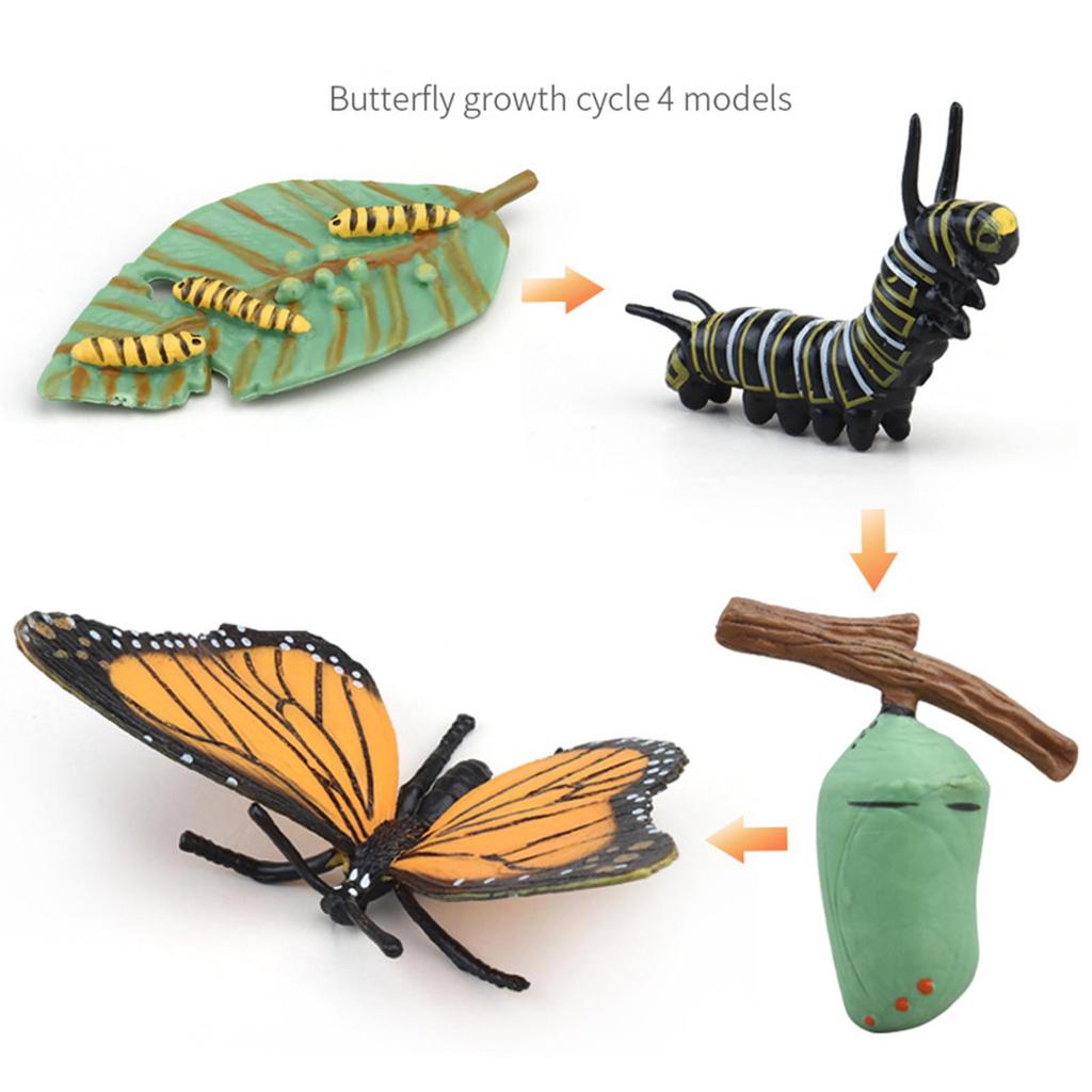 Animal Figurines Set for Biology Education And Party Gifts