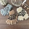 Korean Retro Fashion Faux Hair Insulation Gloves for Women Soft Skin Friendly Washable Cold Resistant Riding Insulation Gloves