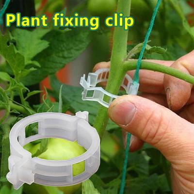 100/200/300Pcs Plant Support Clips Plastic White Green Plant Garden Clip Pepper Eggplant Fixer Tomato Clips Vine Fixing Clips Easy
