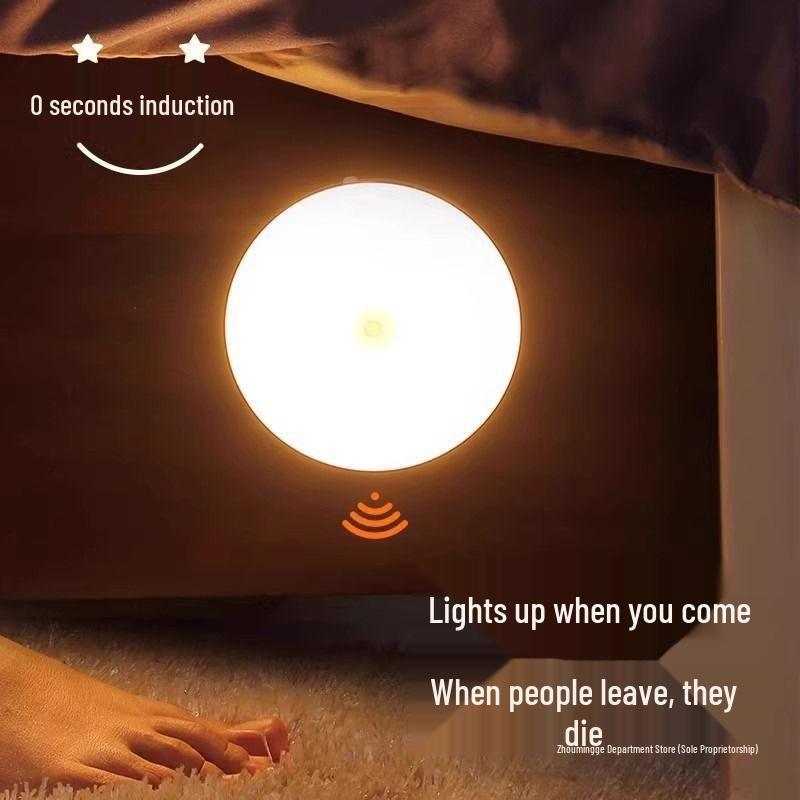 Taoist Smart Induction Night Light 2025: Voice-Controlled, Automatic Brightness Adjustment.