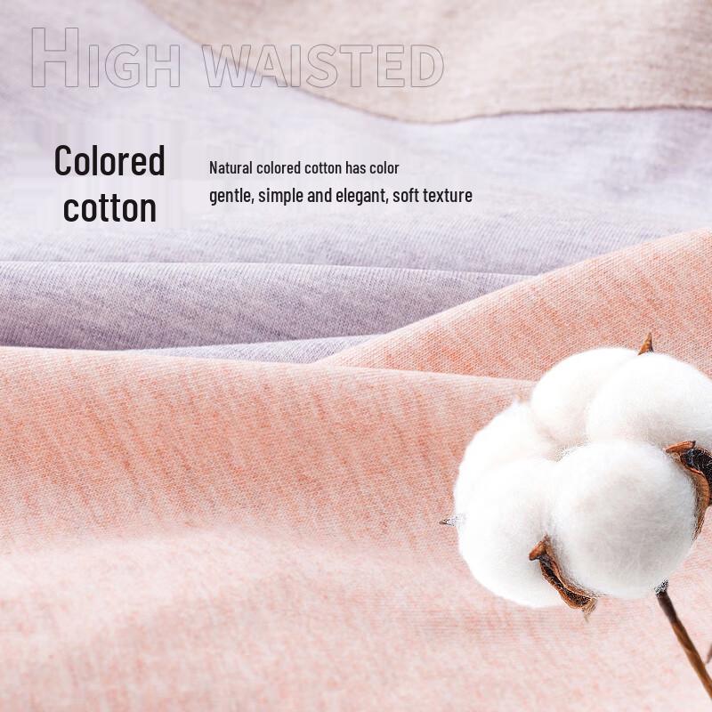 Langsha Women's High-Waist Tummy Control Antibacterial Briefs