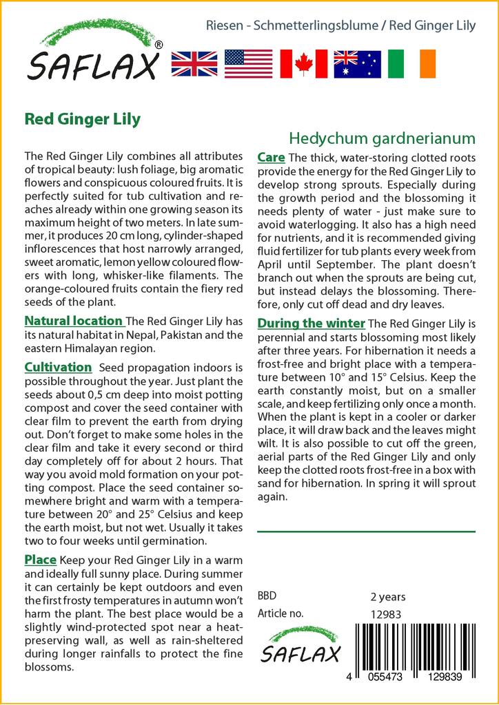 SAFLAX Gift Set - Red Ginger Lily - 10 Seeds - With Gift Box, Card, Label and Potting Substrate - Hedychum Gardnerianum