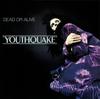 Youthquake (LP) (Ltd) [Analog]