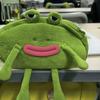 Pencil Bag Frog Wearing Glasses Design Plush Cloth Pencil Pouch Large Zipper Opening Stationery Organizer
