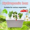 Plastic Soil-Free Planting Box Self Watering Nursery Pots  Vegetable Growing