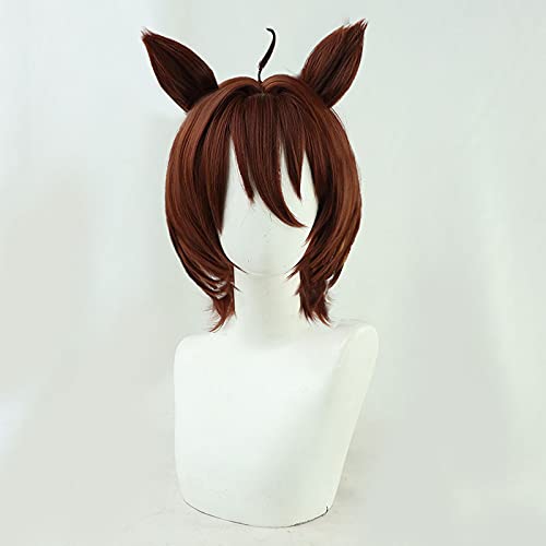 Cosplay Wig, Costume, Wig Accessory, Disguise, Halloween, Event, Cosplay, Photo Shoot (Agnes Tachyon)