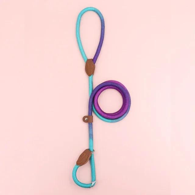 New Vibrant and Stylish Dog Leash for Safe and Fashionable Walks - Durable and Adjustable, Perfect for Small To Medium-Sized Dog