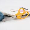 Office Supplies Stainless Steel Scissors Safety Scissors Student Scissors Fish Line Scissors