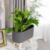 Self Watering Planter Simple Aloe Small Plants Planter Flowerpot Decor