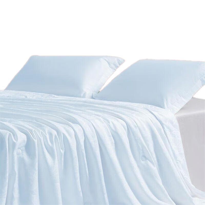 

Boyang Life Water Rhyme Jiangnan Tussah Silk Summer Quilt