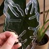 Reusable Transparent Monstera Plant Stem Support Holder Potted Plant Support Sturdy Construction Monstera Plant Support Pile