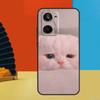 Crying Cat Memes For Realme 11 9 10 12 Pro Plus C55 C53 C51 C33 C31 C30 C25s C21Y C15 C11 GT3 GT Neo 5 Case