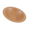  Plastic Reptiles Soaking Dish Water Pool Large Bathing Bowl for Turtles Lizards Frogs Amphibians Habitats Decoration