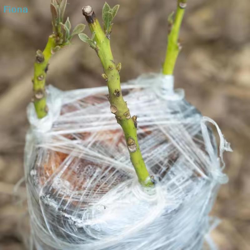 Self-adhesive Plant Grafting Tape, Stretchable Clear PE Film for Tree Grafting & Garden Repair