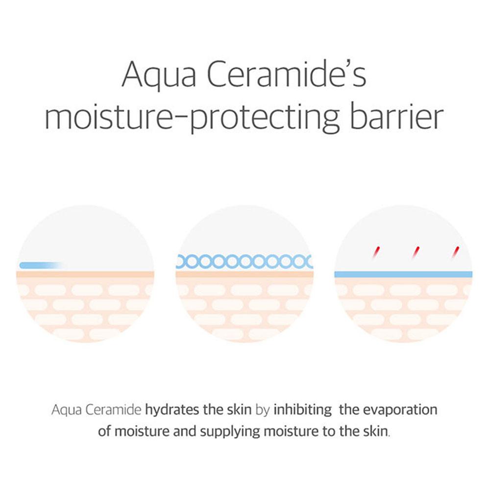 ROUND LAB 365 Derma Relief Sunscreen 50ml (SPF50+)