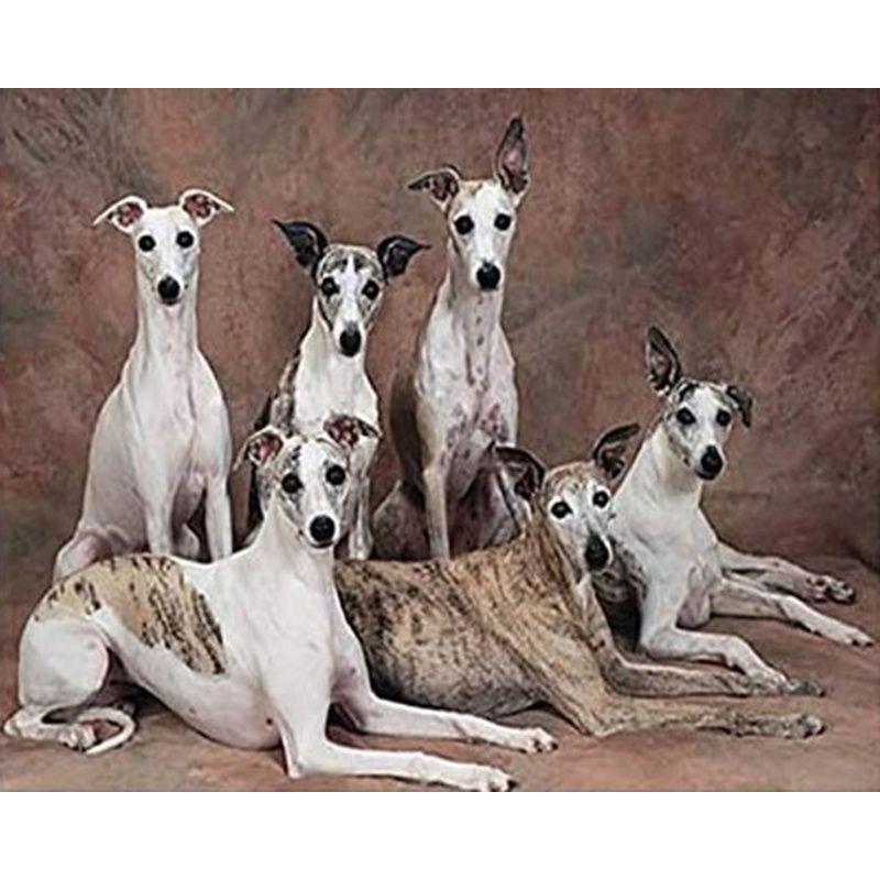 5D DIY Diamond Painting Animal Dog Full Round Diamond Embroidery Rhinestone Picture Mosaic 40x50cm Home Decor Gift