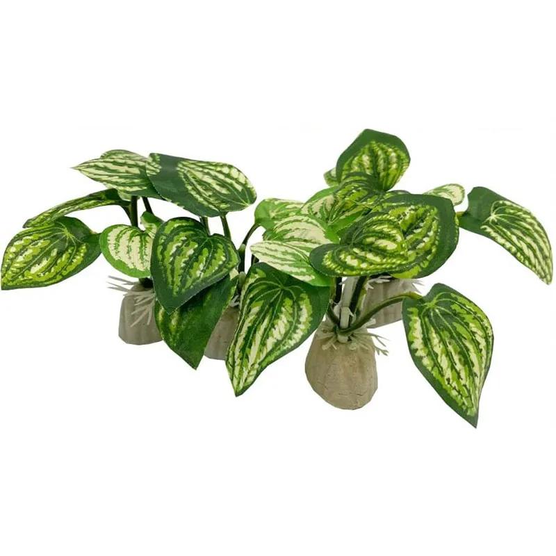 Kleines Unterwassergras Aquarium Fischtank Simulation Dekoration Aquarium Hintergründe Pflanzen Wassergras Zubehör Zuhause