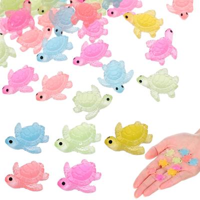 Ev Dekoru – Dekoratif Terraryumlar