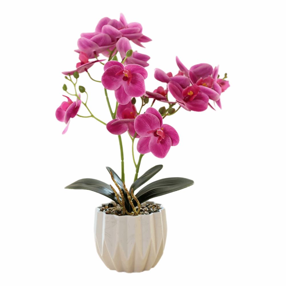 

Multicolor Butterfly Orchid Artificial Bonsai 2 Forks Green Leaves Simulation Phalaenopsis Flower White Flowerpot Photo Props фиолетовый
