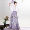 Summer Girls Series Hanfu Chinese Ming Dynasty Style Daily Horse-face Skirt Women's Dress Set