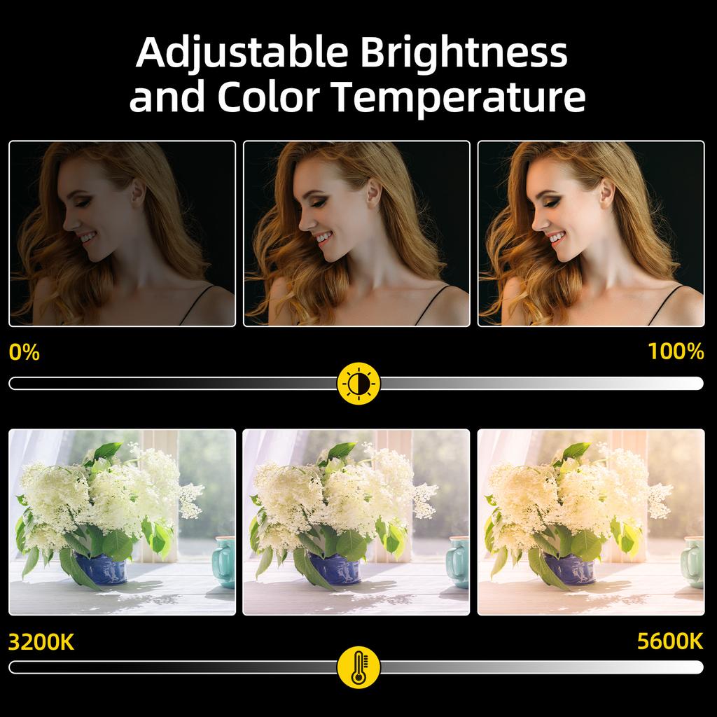 12 W Mini-Fotolampe, dimmbares LED-Licht, tragbares Vlog-Licht, 1120 LED-Perlen, Akku der NP-F-Serie