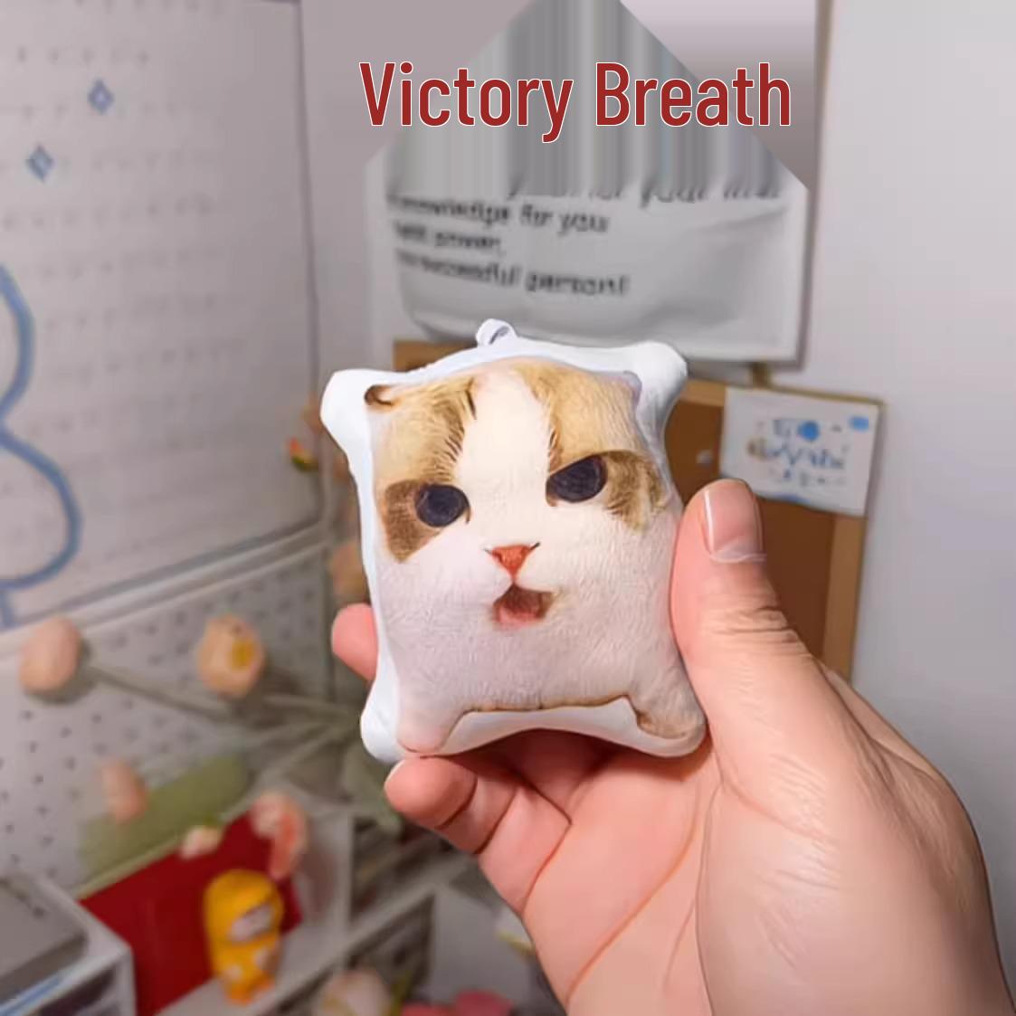 

Скидка для новичков: 5 юаней Кот Берлин Звуковая кукла Брелок со смешным голосом кота