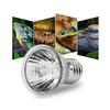 Prático-10 Peças Lâmpada para Répteis Tartaruga Aquecimento UV Lâmpadas de Aquecimento Lâmpada Solar de Espectro Completo Para Anfíbios