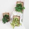 Wall Framed Artificial Plant Faux Greenery Plant in Frame Wall Decor Hanging