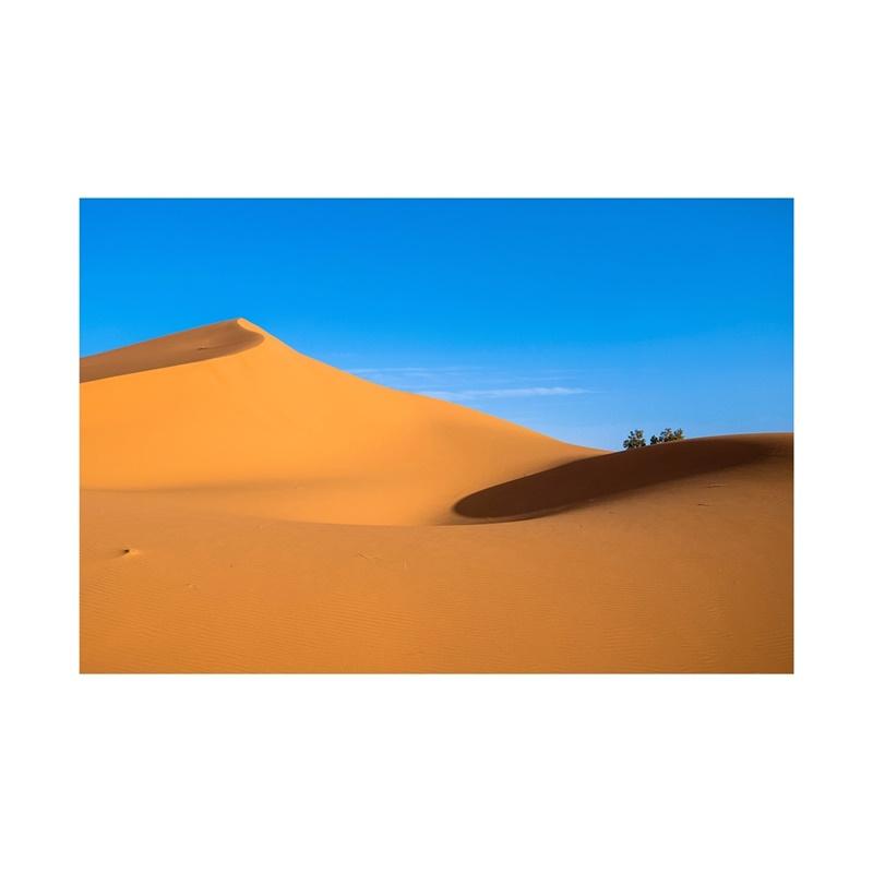 Desert Series Photography Background Natural Scenery Backdrop Photo Backdrop Studio Supplies Props Home Decor