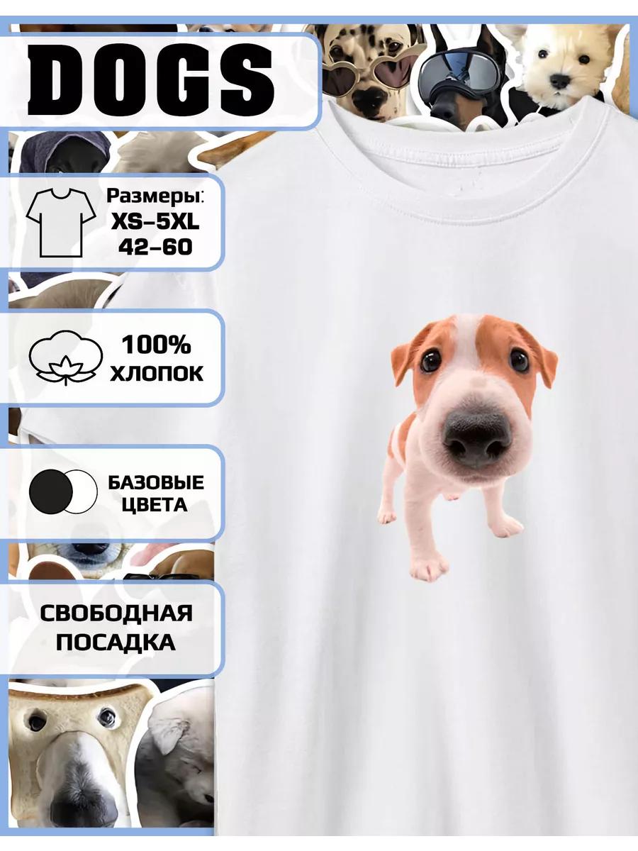 Meme Dog Print T-shirt 4XL