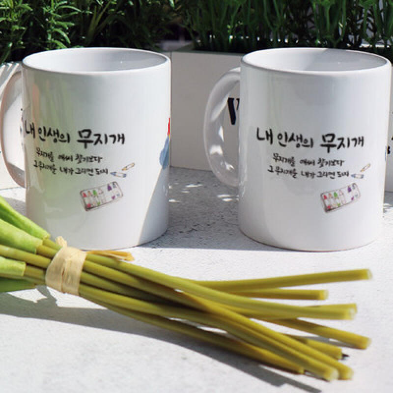 cs738-Design Mug 2p-Rainbow