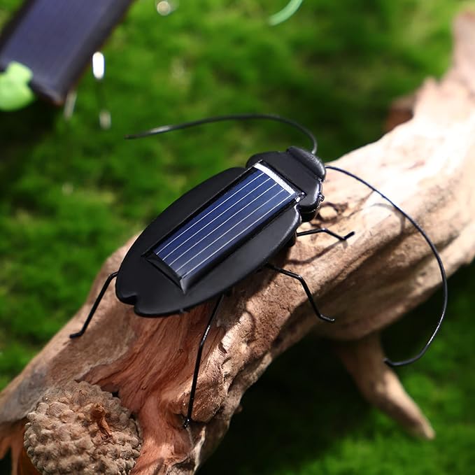 Solar Powered Cockroach Insect Animal Model Prank Educational Toy