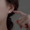 925 Sterling Silver Leaf Stud Earrings For Woman Piercing Wedding Elegant Jewelry Wholesale   925 Money