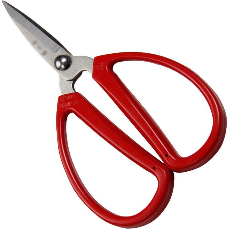 Homeglen 125mm Stainless Steel Pointed Scissors