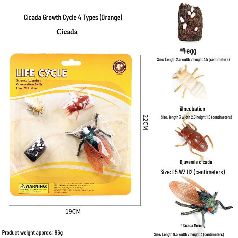 Mini Animal Growth Cycle Toys: Butterfly, Rooster, Ant, Frog, Sea Turtle, Dragonfly