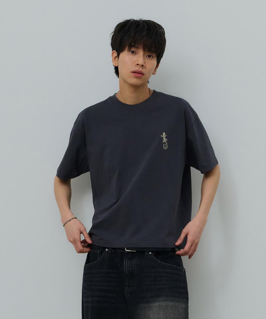 Desiledeu Front Graphic Crop Short Sleeve T-Shirt-Fbsk5805D09